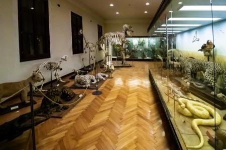 sala esotici