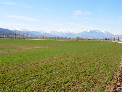 Campagna veneta Campagna veneta