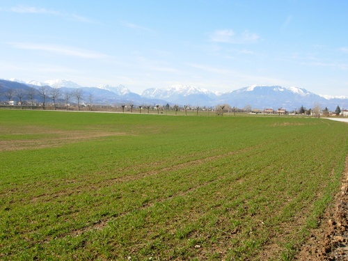 Campagna veneta