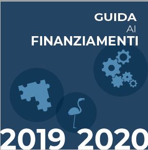 Scarica qui la Guida Immagine copertina guida