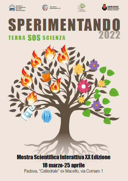 logo sperimentando 2022 - albero stilizzato