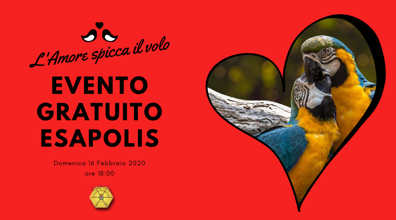 immagine manifesto immagine manifesto