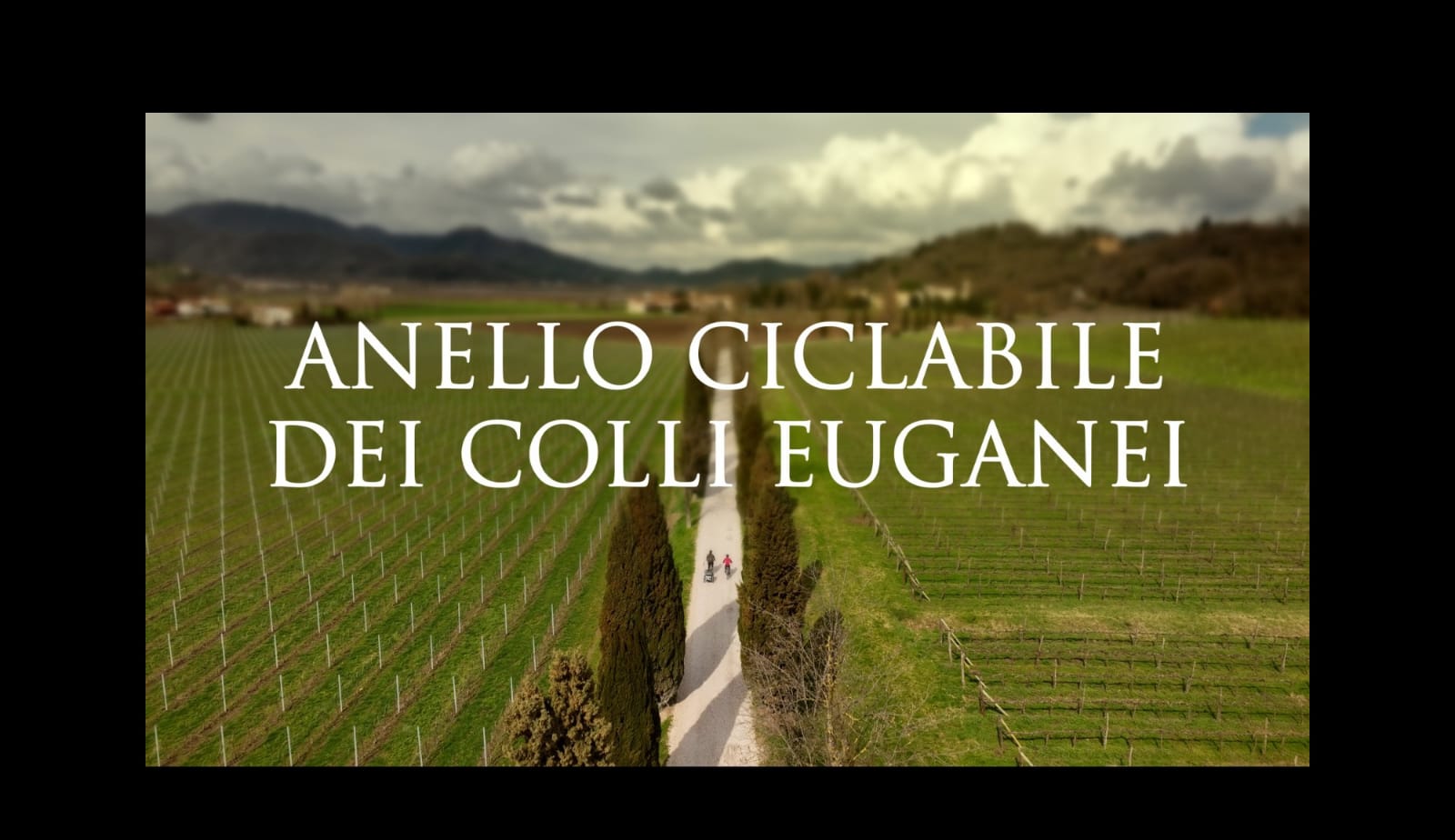 anello colli immagine video