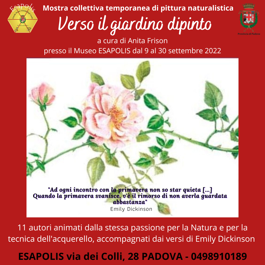 fiore disegnato e frase di emili dickinson fiore disegnato e frase di emili dickinson