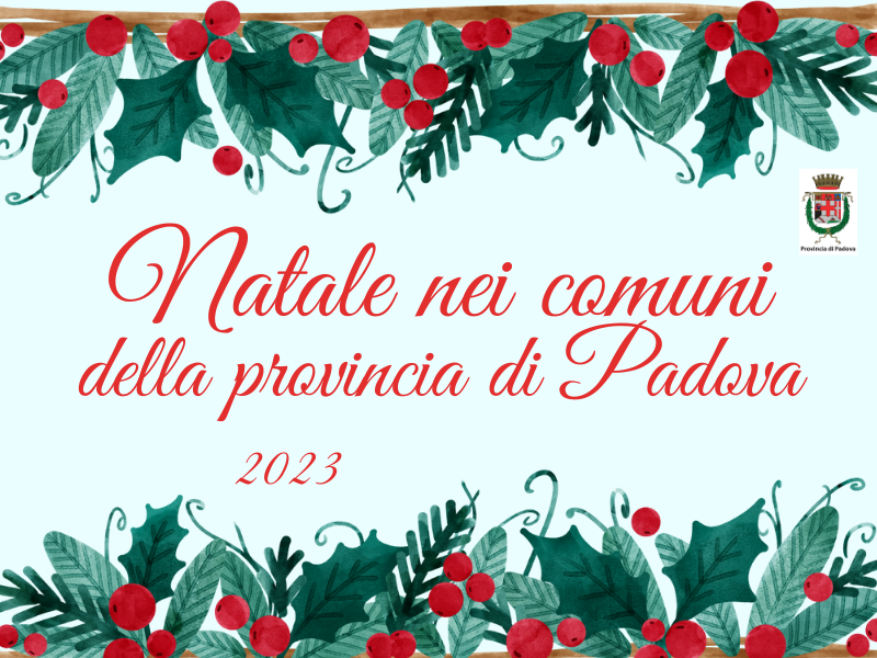 titolo e vischio stilizzato titolo e vischio stilizzato