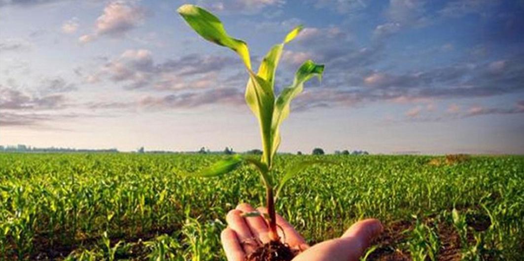 agricoltura agricoltura