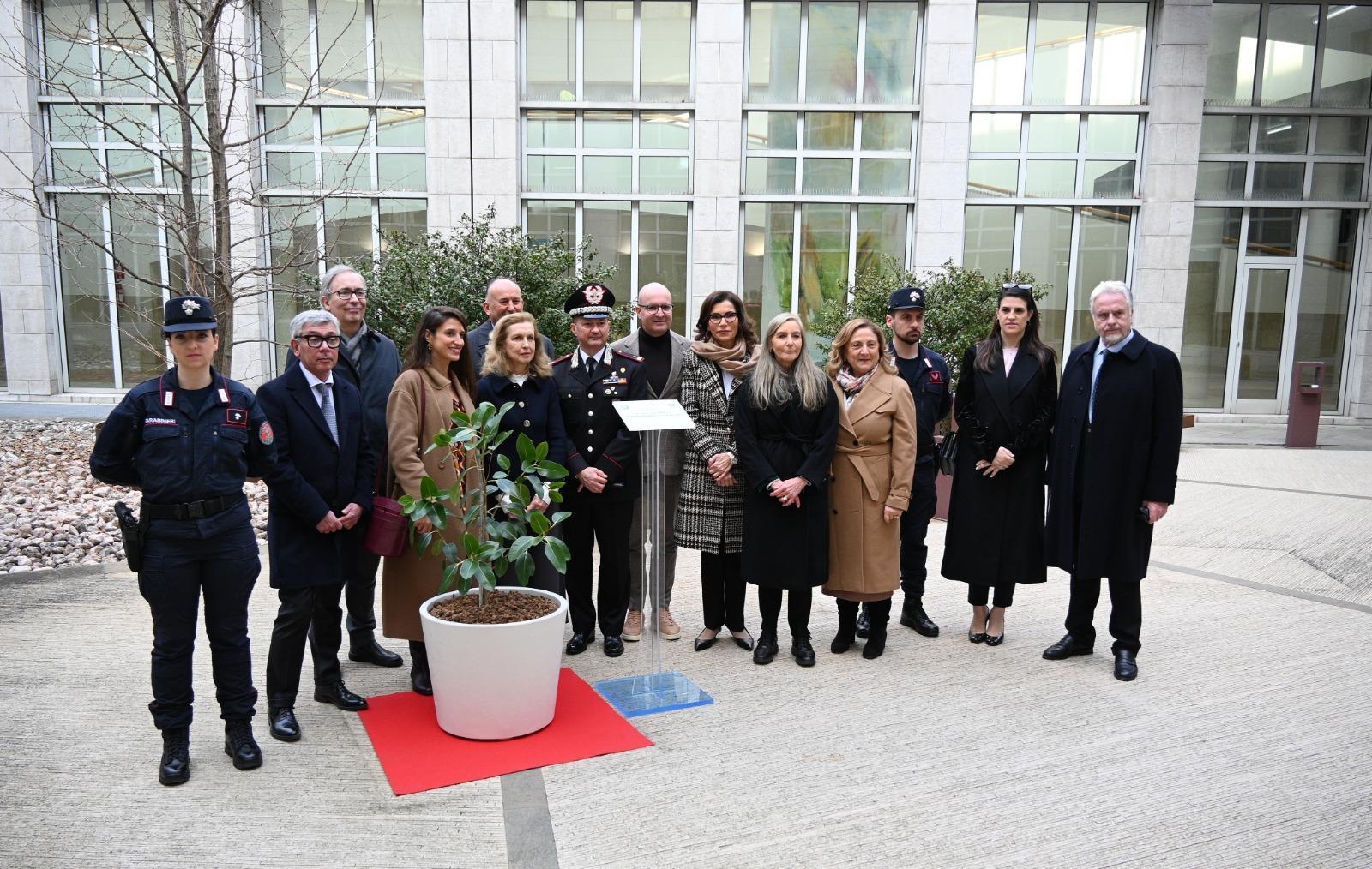 albero legalita albero legalita