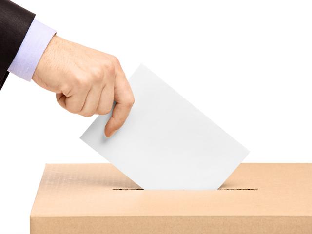 elezioni elezioni