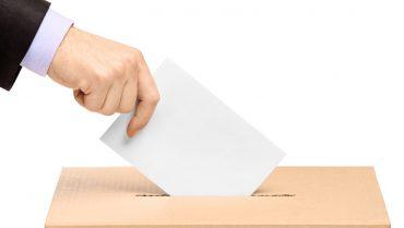 elezioni elezioni