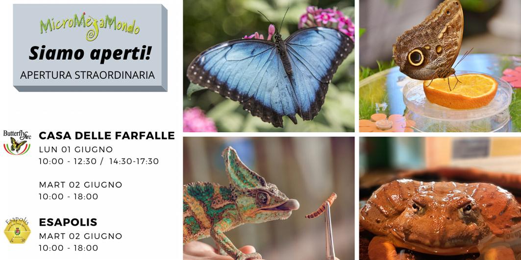 Esapolis e Casa delle Farfalle aperti il 2 giugno Esapolis e Casa delle Farfalle aperti il 2 giugno