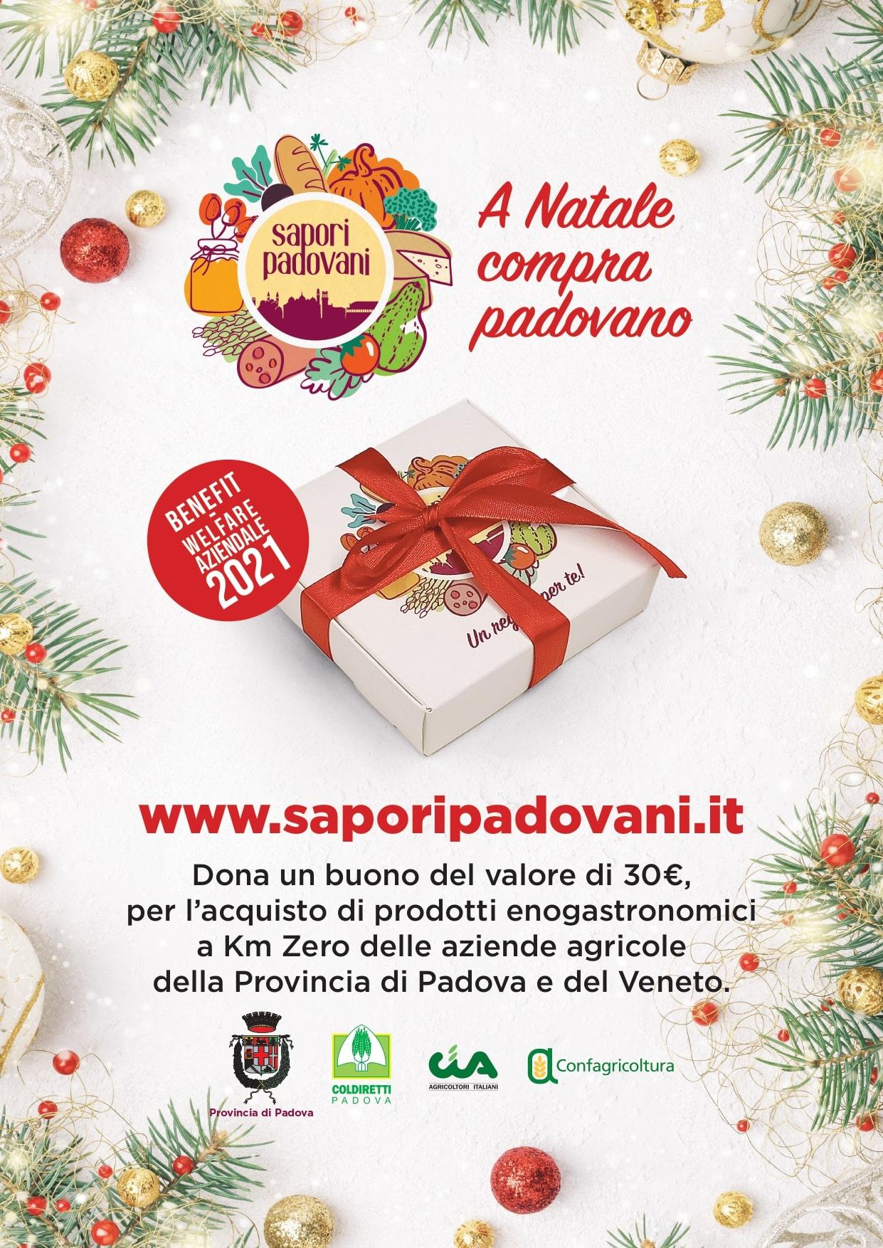 Immagine locandina A Natale compra padovano