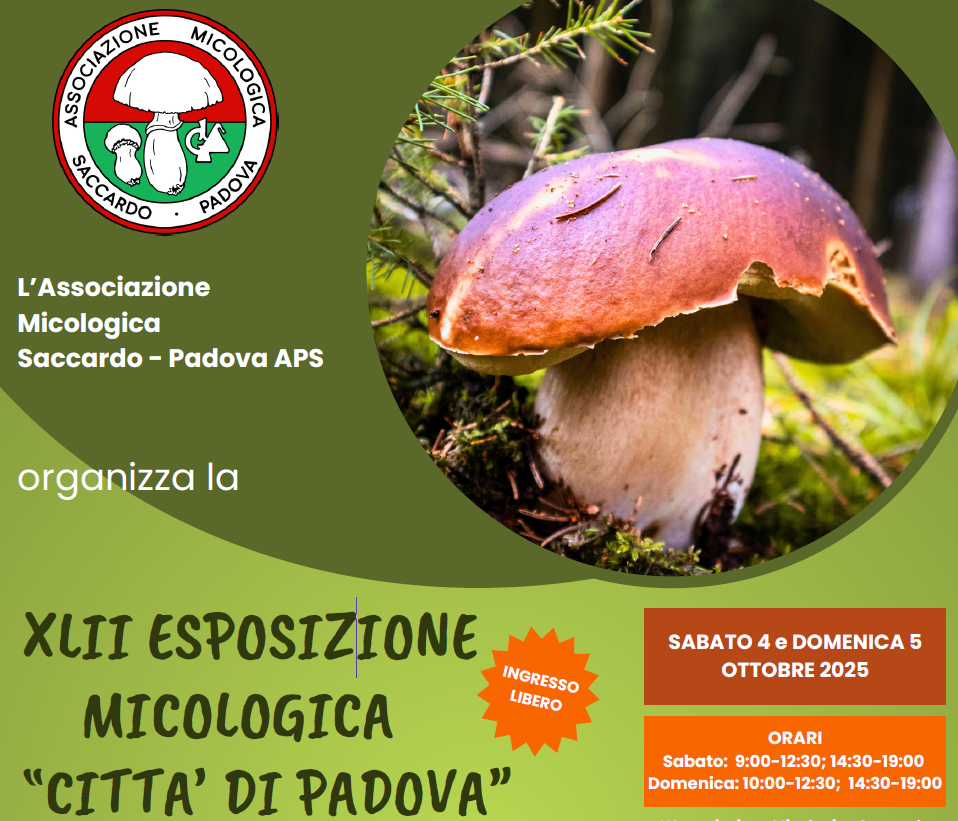 img non significativa