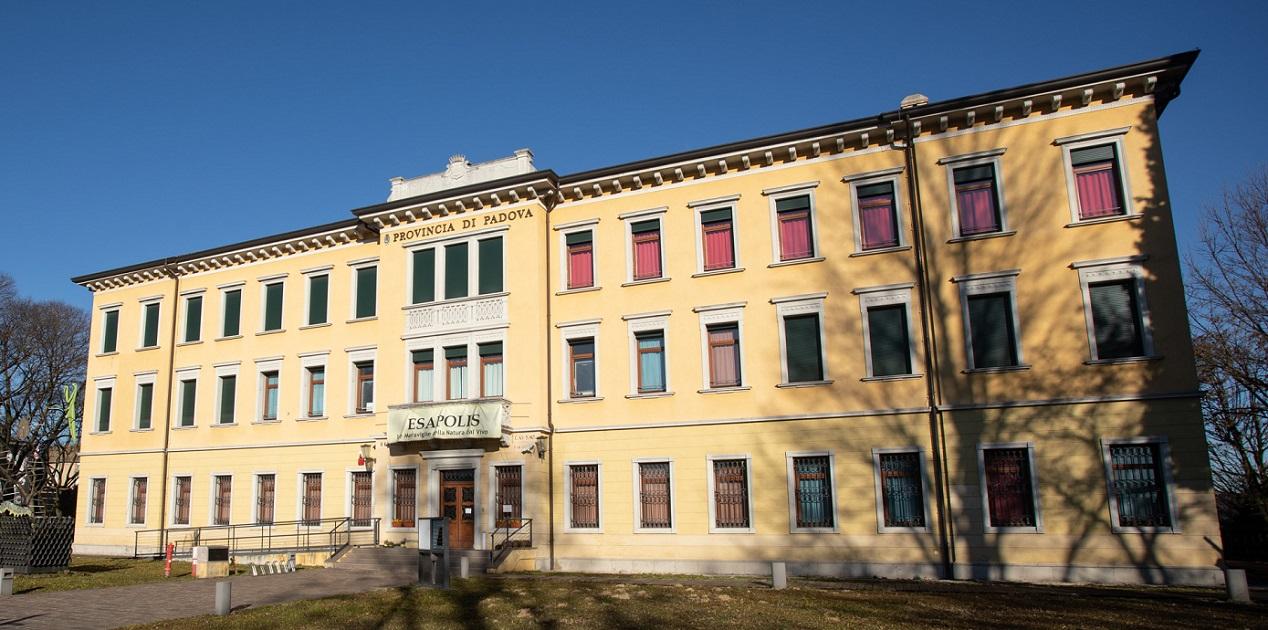 Museo degli insetti - Padova