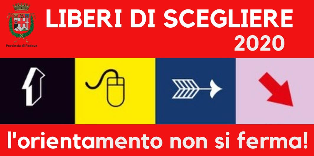 logo Liberi di scegliere 2020 logo Liberi di scegliere 2020