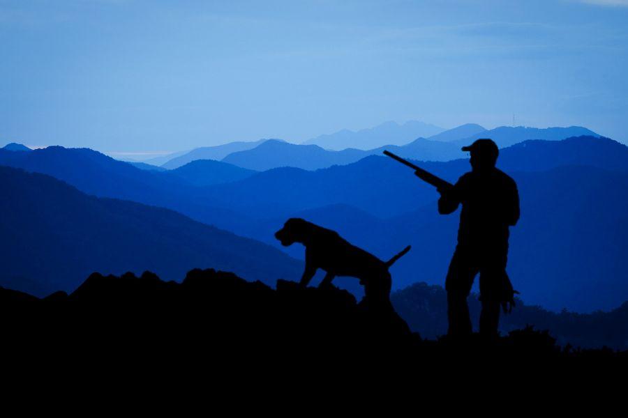 cacciatore con cane stilizzato