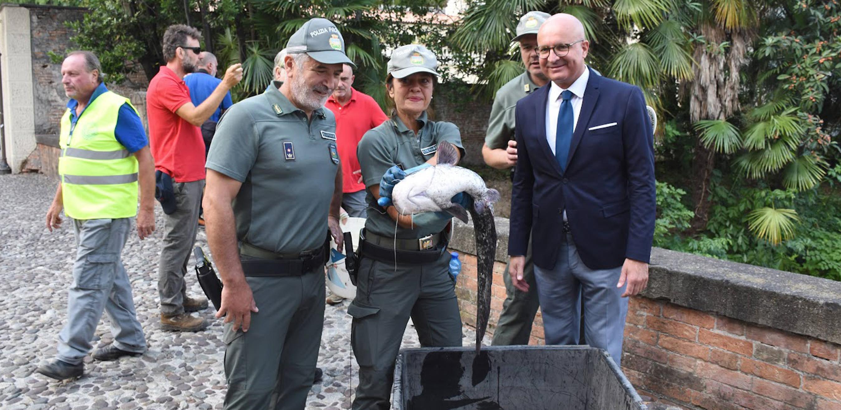 recupero fauna ittica recupero fauna ittica