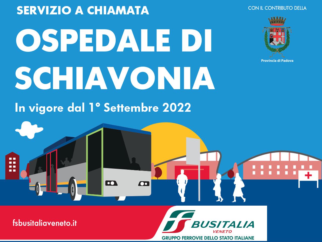 nuovo trasporto qui bus nuovo trasporto qui bus