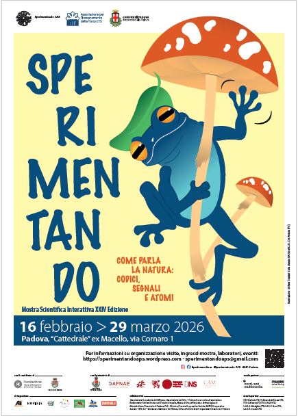 img non significativa