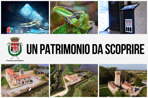 un patrimonio da scoprire