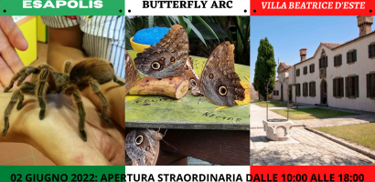 3 img musei apertura straordinaria 2 giugno 3 img musei apertura straordinaria 2 giugno