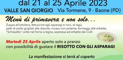 locandina con scritta festa di san giorgio e loghi istituzioni patrocinanti locandina con scritta festa di san giorgio e loghi istituzioni patrocinanti