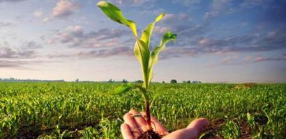 agricoltura agricoltura