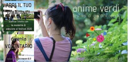 img anime verdi-call volontari img anime verdi-call volontari