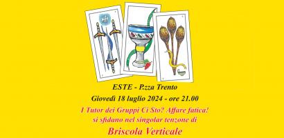 briscola verticale briscola verticale