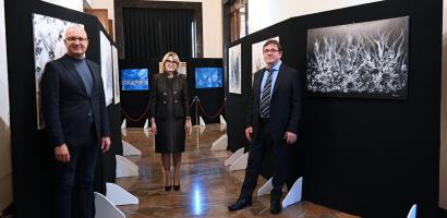 mostra Schiavon Padova aprile 2024 mostra Schiavon Padova aprile 2024