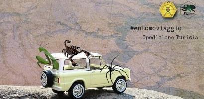 Immagine di default