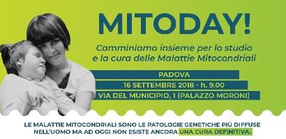 Immagine di default