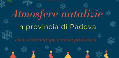 manifesto iniziativa