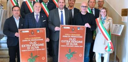 Immagine di default