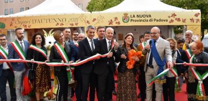 Immagine di default