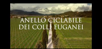 anello colli immagine video