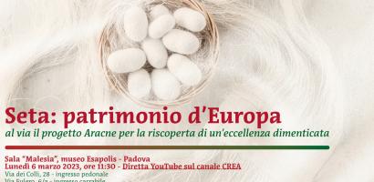 Seta Esapolis