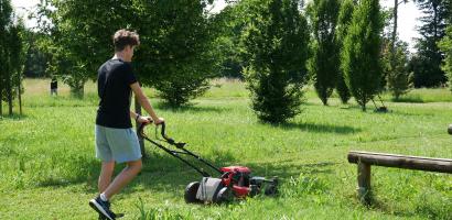 ISS Alberti Abano progetto evergreen