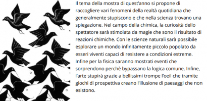 titolo e illustrazione non significativa titolo e illustrazione non significativa