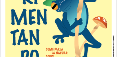 img non significativa