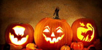 zucca halloween zucca halloween