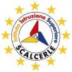 logo IIS Scalcerle