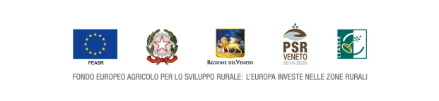 4 loghi feasr